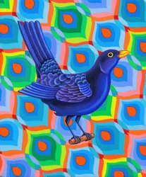 Blackbird, 2023