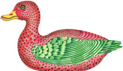 Duck