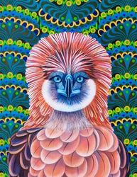 Philippine Eagle, 2020