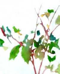 Botanical from the Courtyard, c.2023