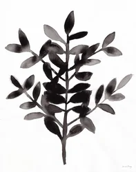 Botanical with Nagi Fern III
