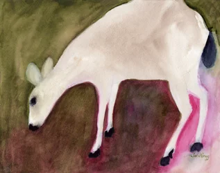 Deer from Anacortes, c.2018