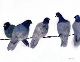 Pigeons from Anacortes, c.2023