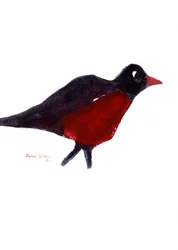 Robin Red Breast Hunting