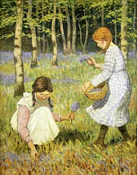 Picking Bluebells