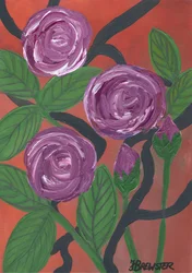 Purple Roses Bloom