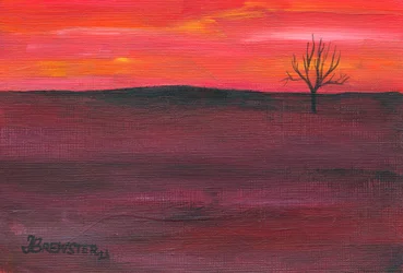 Solitary Sunset Tree