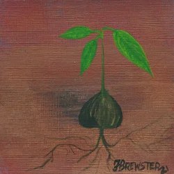 Sprouting New Life