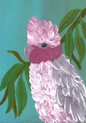 Vibrant Pink Cockatoo