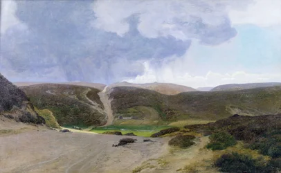 Scandinavian Landscape