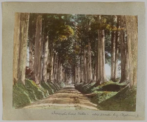 Imaichi Road, Nikko, Japan