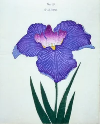 Al-Al-Gasa, no.19, 1898