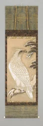 Eagle