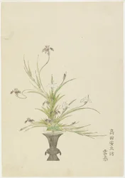 Flower Arrangement by Takada Anritsubo Untai, Irises