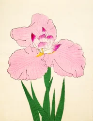 Gaisen, No. 90, 1890