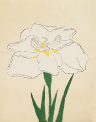 Haku-O-Den, No. 40