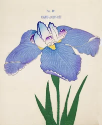 Kaku-Jaku-Ro, no.39, 1898