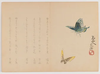 Two Butterflies