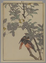 Two Birds with White Flowers, Meiji Period, 1892