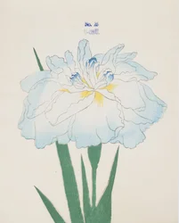 U-Chu, no.25, 1898