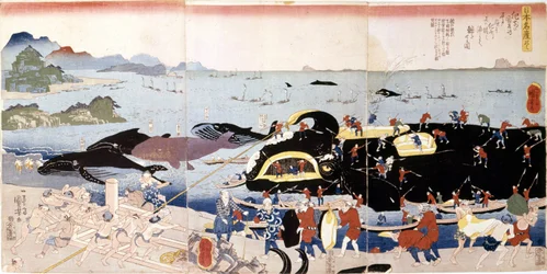 Whale Fishing in Japan