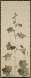 White hollyhocks, Edo period