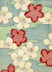 Dogwood Blossoms