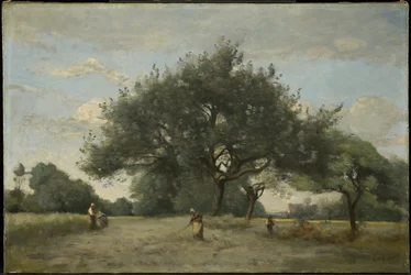 Apple Trees in a Field