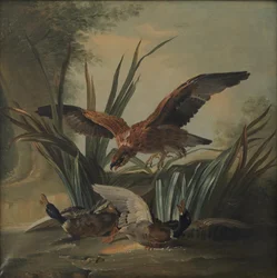 A Hawk Pouncing on a Pair of Ducks