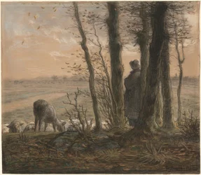 Falling Leaves