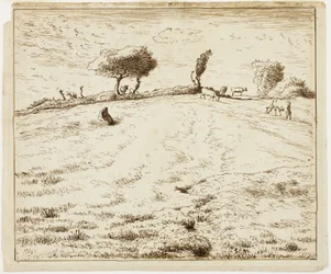 Landscape - Hillside in Gruchy, Normandy