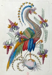 Fantastic bird. Drawing from a Chinese vase
