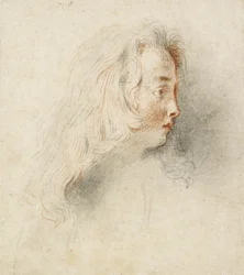 Head of a Boy in Profile