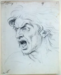 Expression of the Passions of the Soul: The Fearful