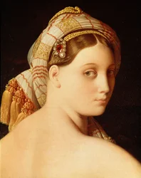 Grande Odalisque (detail)