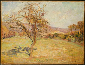 Landscape, 1890