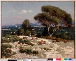Shepherds on the heights of Saint Loup in Marseille