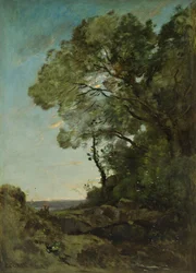 Tree Landscape (Evening)