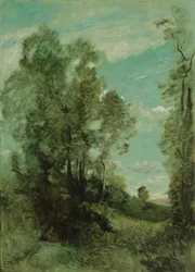Tree Landscape (Morning)