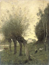 Landscape with Pollard Willows