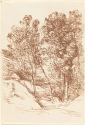 Souvenir of the Sole Valley