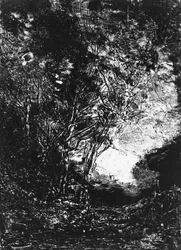 The Ambush