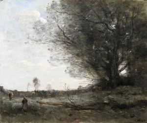 The Beech Tree