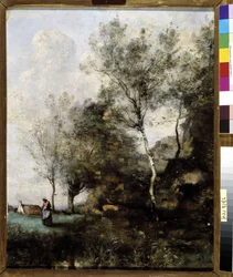 The Birch