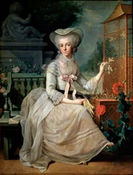 Young Lady at a Cage, 1784