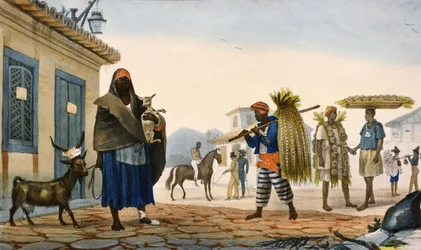 Colored Lithographs
