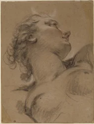 Head and Upper Torso of Diana