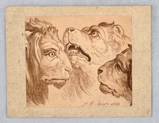 Three Lion Heads