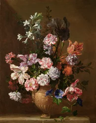 Unknown Image