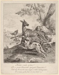 A Deer Attacked by Dogs